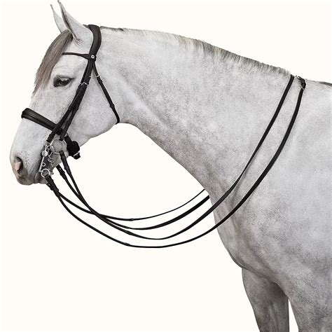 hermes bridles